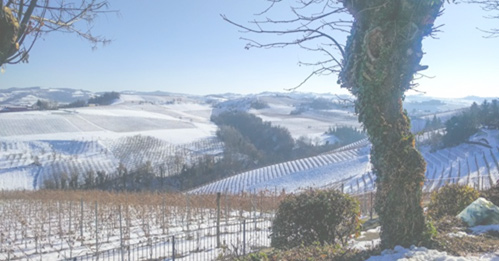 Unbox, Uncork, Experience, Great Value Wines – The All Things Nice Discovery Boxes